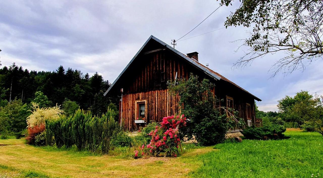 Wies Odnowa Labowa Exterior photo
