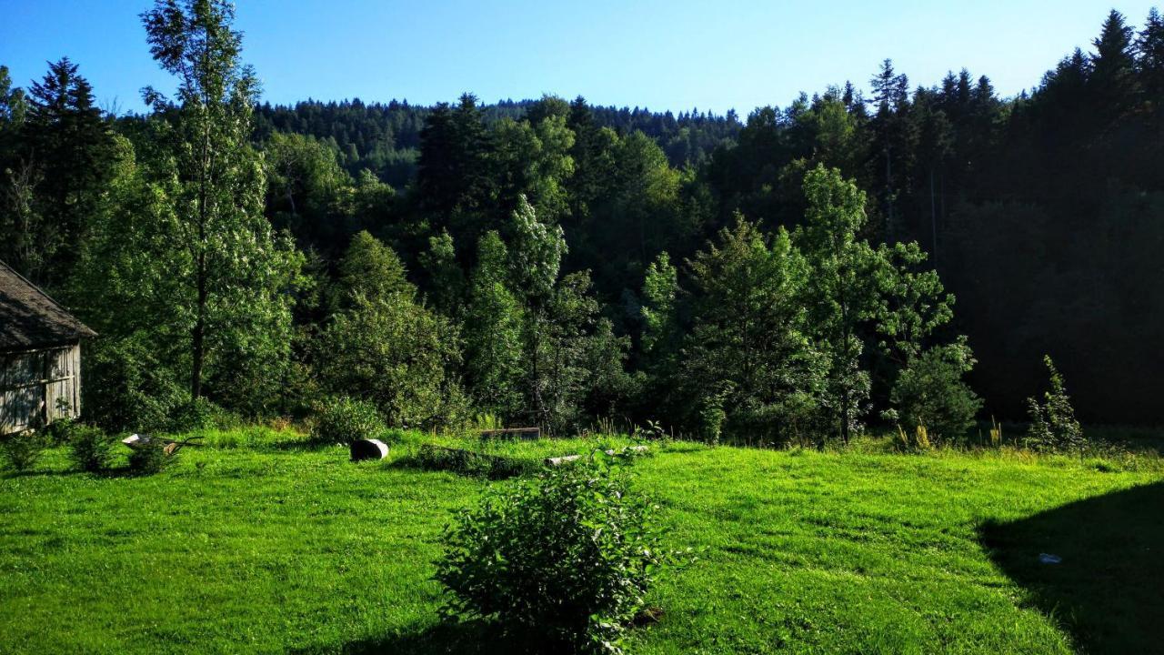 Wies Odnowa Labowa Exterior photo
