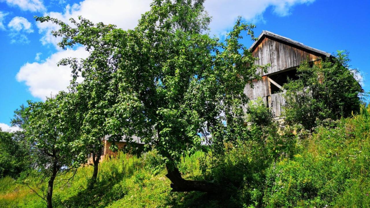 Wies Odnowa Labowa Exterior photo
